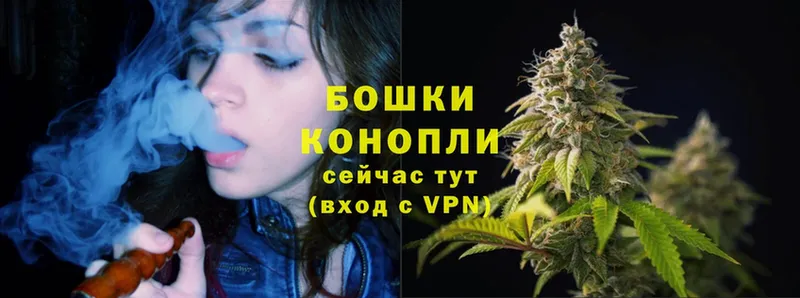 Каннабис OG Kush  купить наркоту  Мурманск 